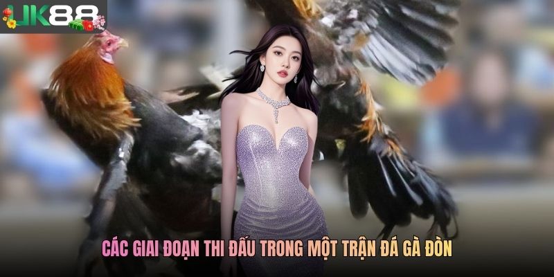 Các giai đoạn thi đấu trong một trận đá gà đòn