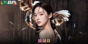 Đá Gà C1 Là Gì? Chi Tiết Giải Đấu Cấp Cao Giới Chọi Kê