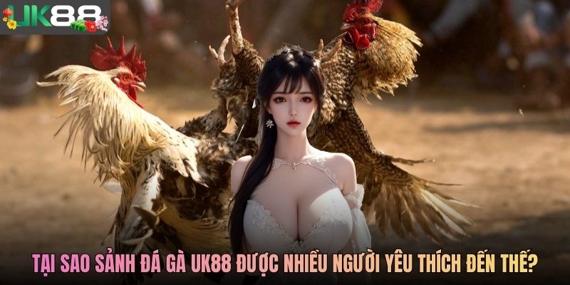Tại sao sảnh đá gà UK88 được nhiều người yêu thích đến thế?